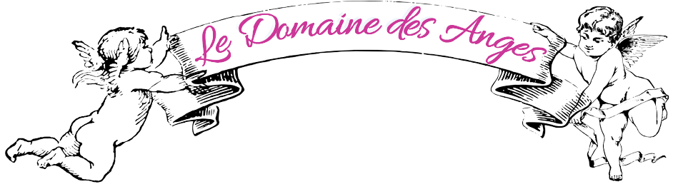 Le Domaine des Anges